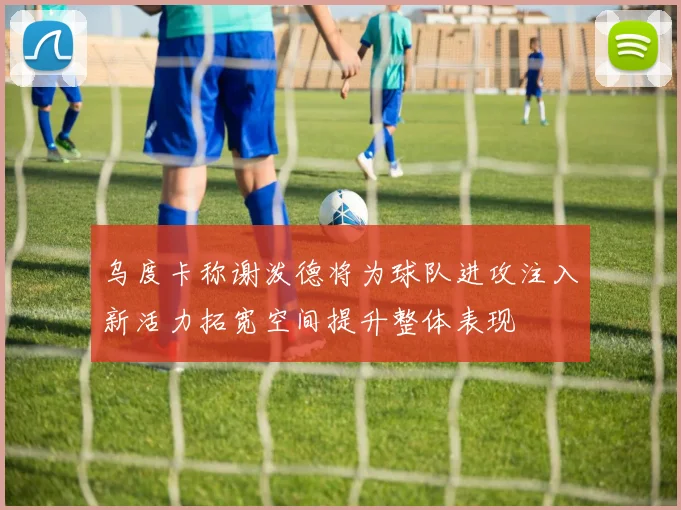 乌度卡称谢泼德将为球队进攻注入新活力拓宽空间提升整体表现